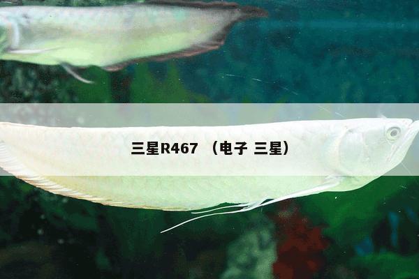 三星R467 （电子 三星）