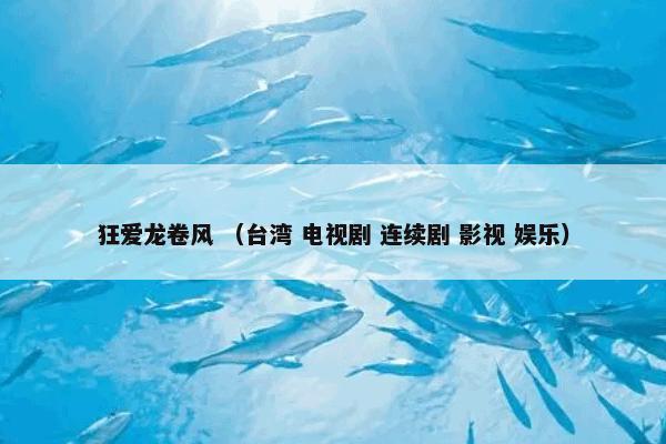 狂爱龙卷风 （台湾 电视剧 连续剧 影视 娱乐）