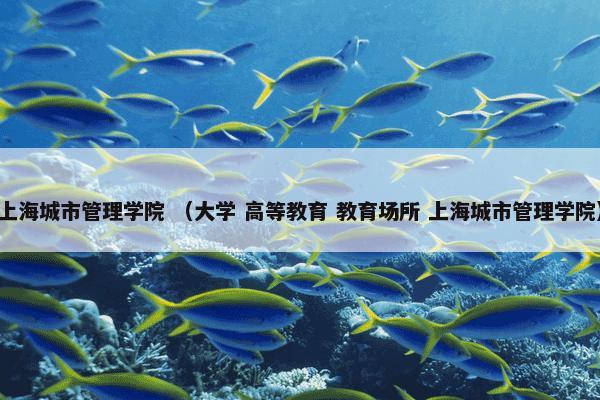 上海城市管理学院 （大学 高等教育 教育场所 上海城市管理学院）