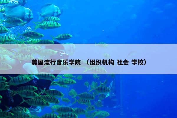 教师期望效应 （教师 学习 课程）