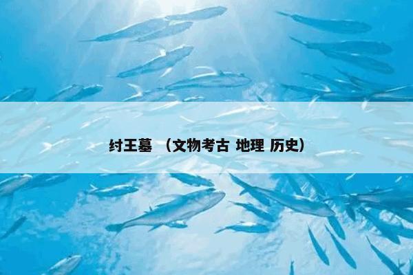 纣王墓 （文物考古 地理 历史）