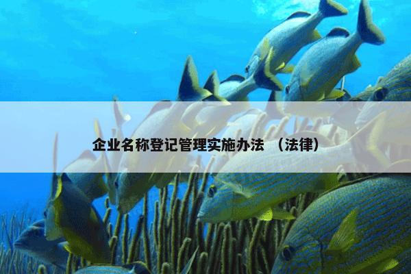 企业名称登记管理实施办法 （法律）