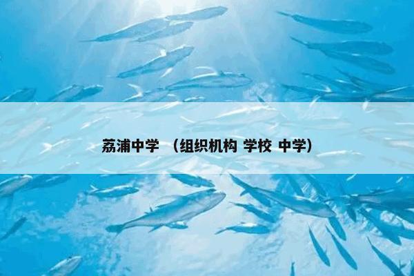 荔浦中学 （组织机构 学校 中学）