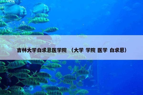 吉林大学白求恩医学院 （大学 学院 医学 白求恩）