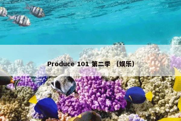 Produce 101 第二季 （娱乐）