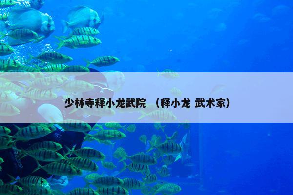 少林寺释小龙武院 （释小龙 武术家）