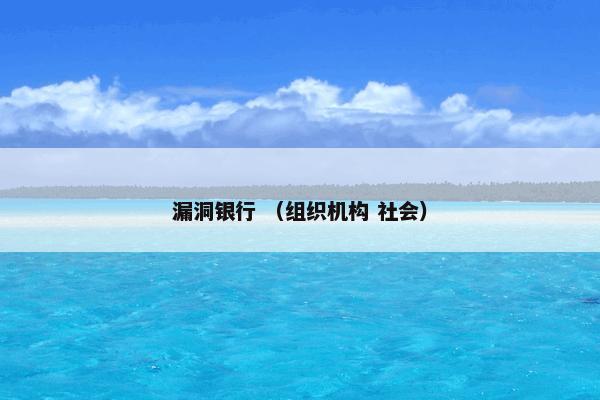 漏洞银行 （组织机构 社会）