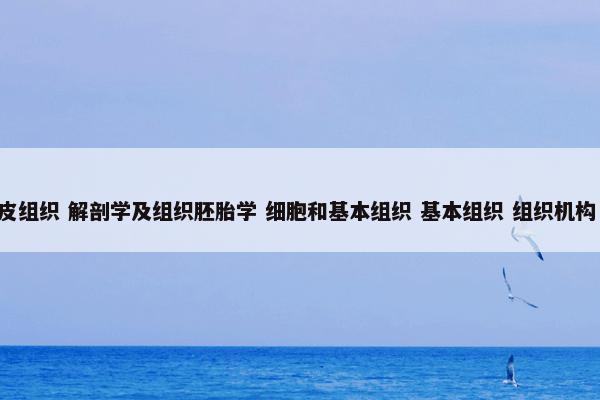 棉花糖组合 （棉花糖组合 城市民谣 街头艺人）