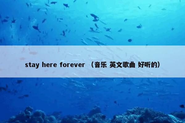 stay here forever （音乐 英文歌曲 好听的）