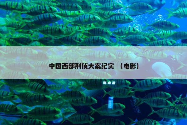 中国西部刑侦大案纪实 （电影）