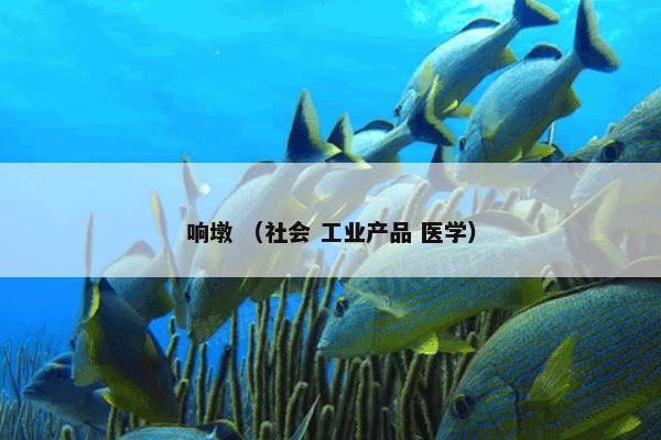 响墩 （社会 工业产品 医学）