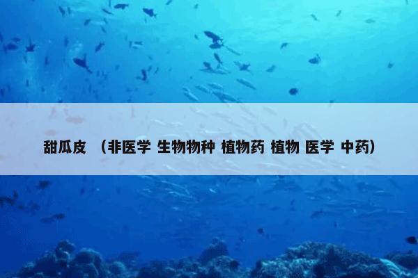 甜瓜皮 （非医学 生物物种 植物药 植物 医学 中药）