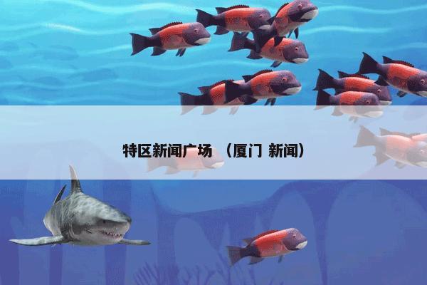 特区新闻广场 （厦门 新闻）
