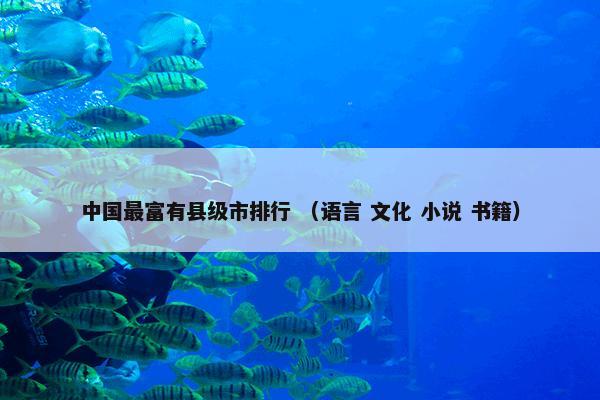 中国最富有县级市排行 （语言 文化 小说 书籍）