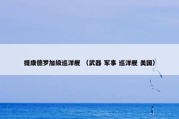 提康德罗加级巡洋舰 （武器 军事 巡洋舰 美国）
