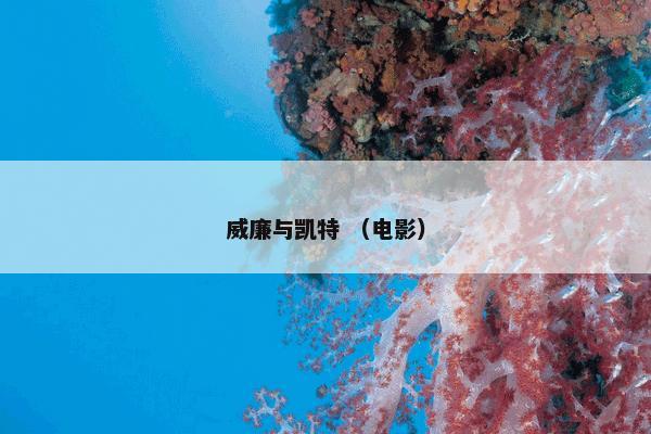 威廉与凯特 （电影）