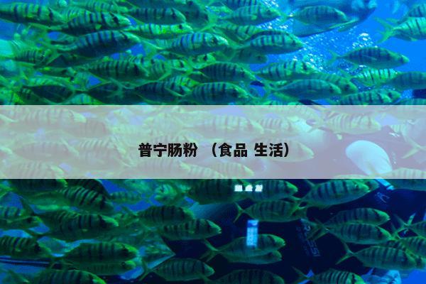普宁肠粉 （食品 生活）
