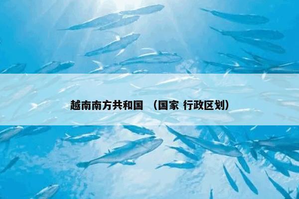 越南南方共和国 （国家 行政区划）