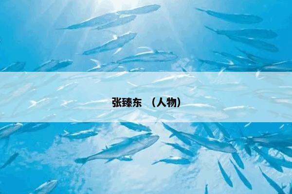张臻东 （人物）