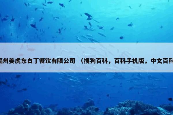 个体工商户税收定期定额征收管理办法 （公文）