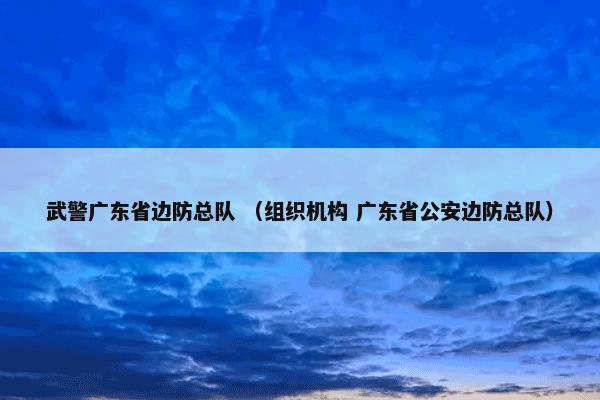 武警广东省边防总队 （组织机构 广东省公安边防总队）