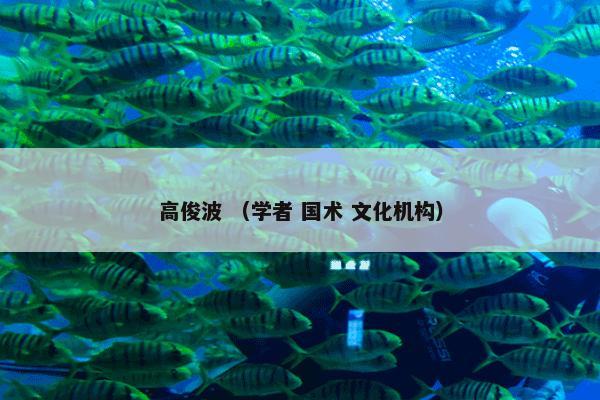 高俊波 （学者 国术 文化机构）