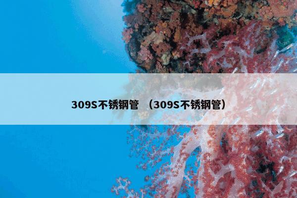 309S不锈钢管 （309S不锈钢管）