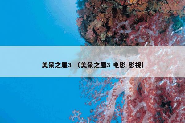 美景之屋3 （美景之屋3 电影 影视）