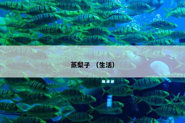 蒸梨子 （生活）