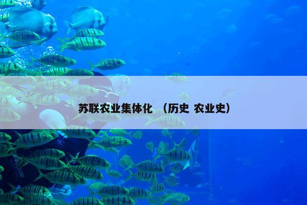苏联农业集体化 （历史 农业史）