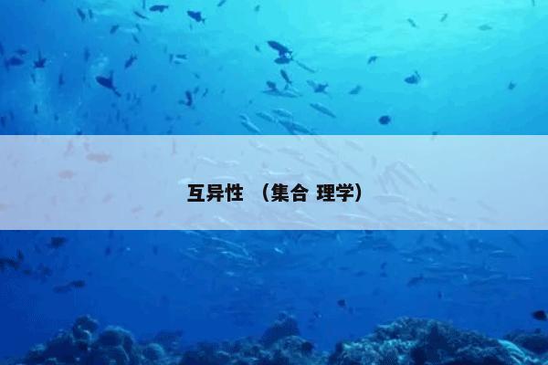 互异性 （集合 理学）