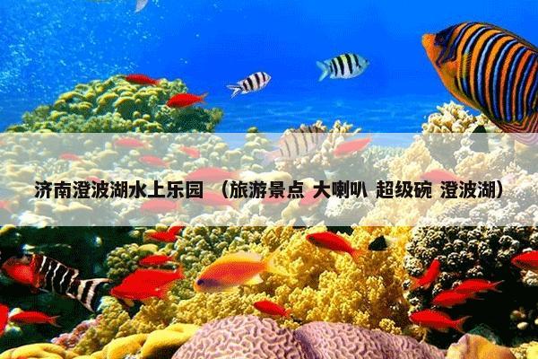 济南澄波湖水上乐园 （旅游景点 大喇叭 超级碗 澄波湖）