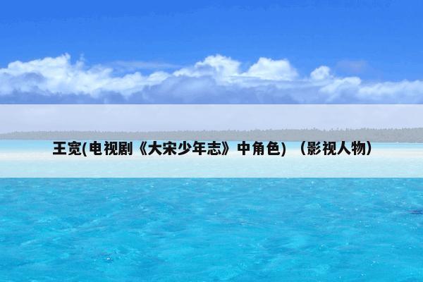 王宽(电视剧《大宋少年志》中角色) （影视人物）