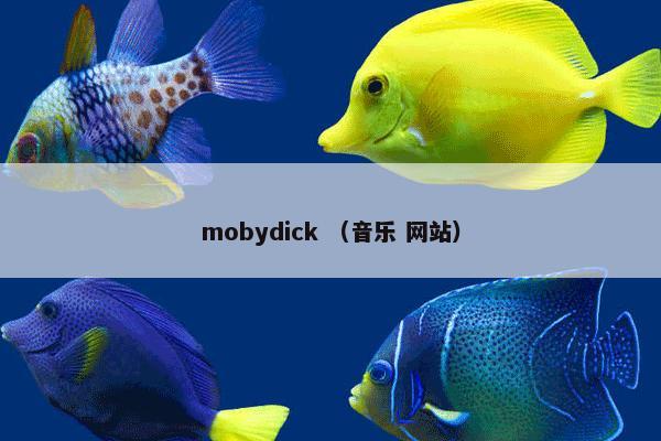 mobydick （音乐 网站）