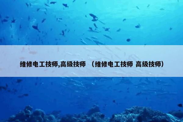 维修电工技师,高级技师 （维修电工技师 高级技师）