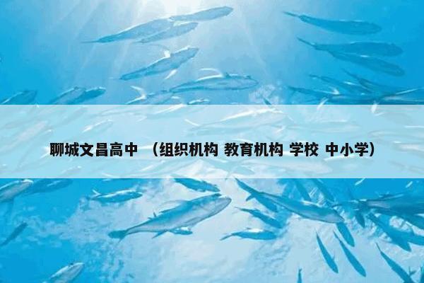 聊城文昌高中 （组织机构 教育机构 学校 中小学）