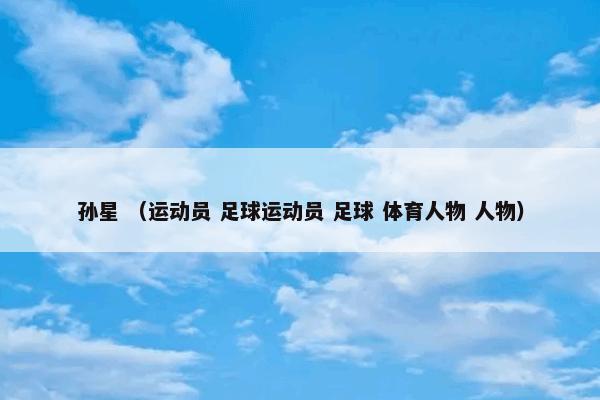 孙星 （运动员 足球运动员 足球 体育人物 人物）