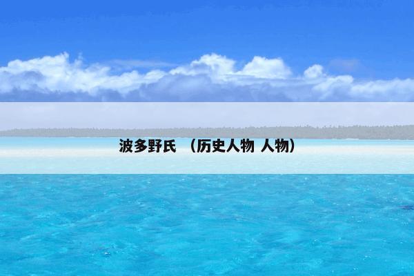 波多野氏 （历史人物 人物）