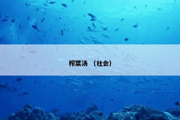榨菜汤 （社会）