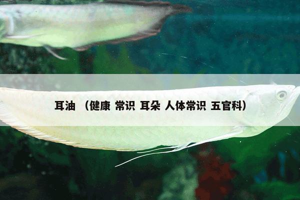 耳油 （健康 常识 耳朵 人体常识 五官科）