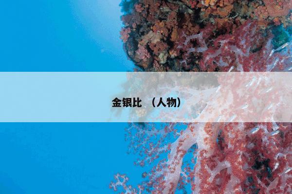 金银比 （人物）