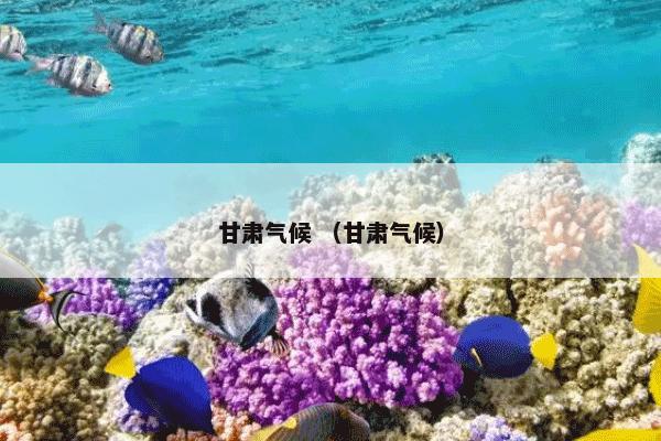 甘肃气候 （甘肃气候）