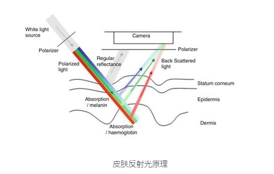 美图宜肤发布“皮肤光泽度检测”新功能，AI测肤助力科学护肤决策