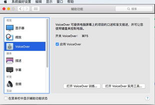 苹果语音控制怎么关闭 按