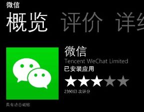 wxid和聊天里的w是什么意思