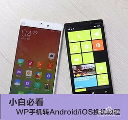 WP手机能刷成安卓系统吗多