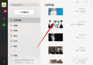 怎样把微信收藏的内容导