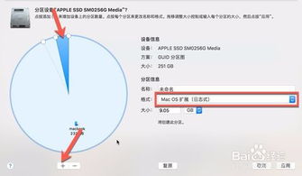 如何用PE工具识别苹果分区