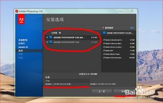怎么找到电脑和手机版P