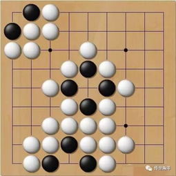 电脑围棋软件该怎么选 免